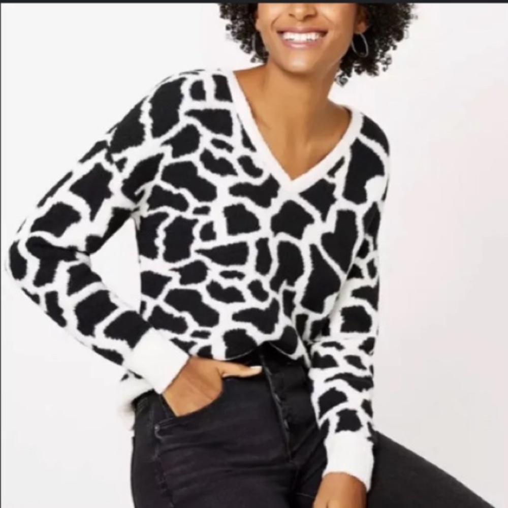 LOFT Women Giraffe Animal Print V Neck Sweater | XS
